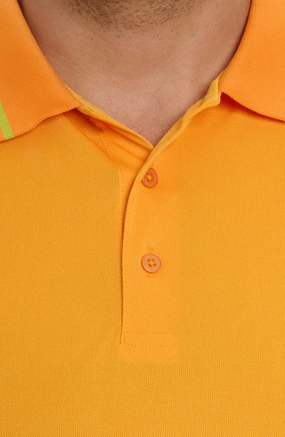 Shop Robert Graham Bowtie Graham Embroidered Tipped Polo In Orange