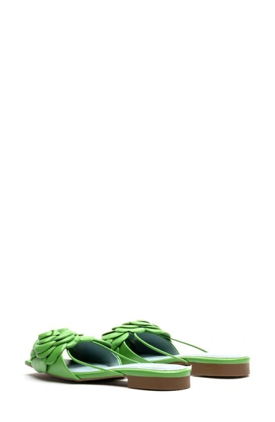 Frances Valentine Gardenia Slide Sandal In Green