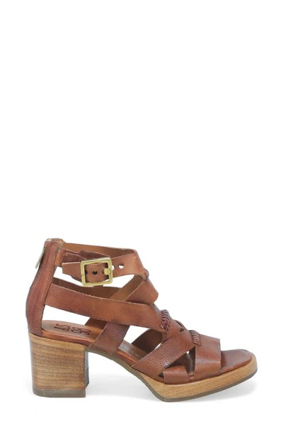 Shop As98 Alfred Ankle Strap Sandal In Whiskey