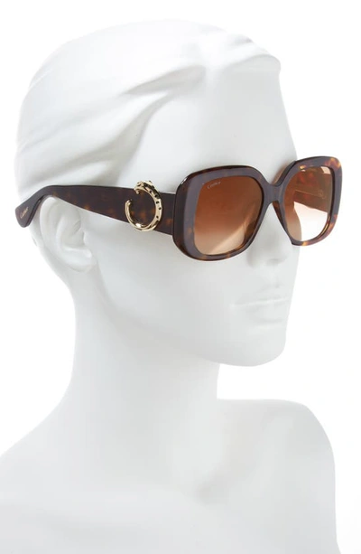 Shop Cartier 54mm Square Sunglasses In Havana