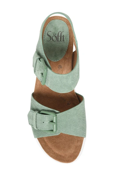 Shop Söfft Castello Platform Sandal In Basil