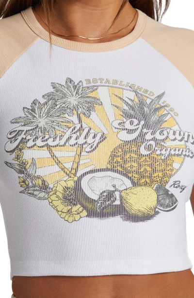 Shop Roxy Freshly Grown Rib Crop T-shirt In Hazelnut