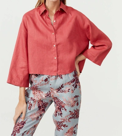 Shop Lanhtropy Lenox Shirt In Cherry In Pink