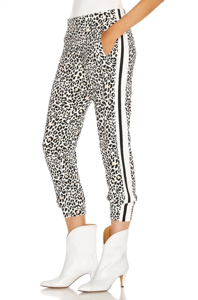 Shop Norma Kamali Side Stripe Jog Pant In Baby Leopard/offset Stripe In Beige