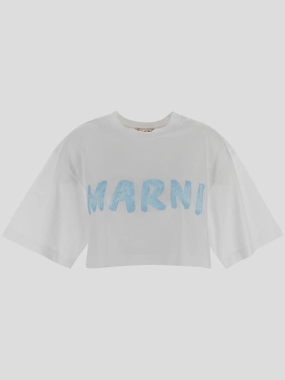 Shop Marni T-shirts And Polos
