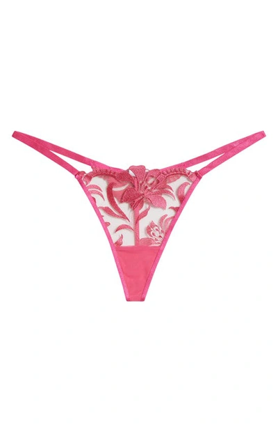 Shop Bluebella Leonara Thong In Fuchsia Pink/ Sheer