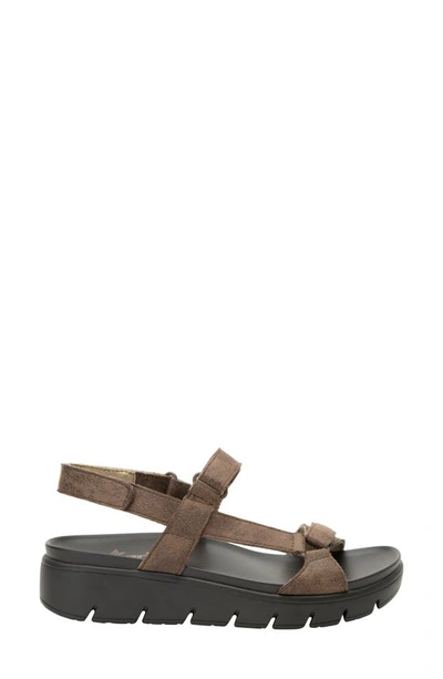 Shop Alegria By Pg Lite Henna Sandal In They Call Me Mellow Taupe