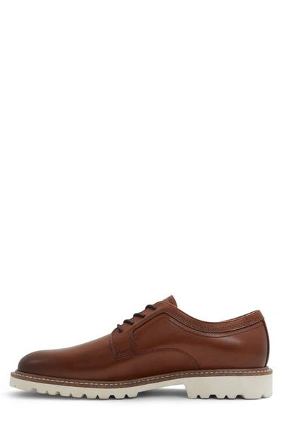 Shop Aldo Bane Derby In Cognac