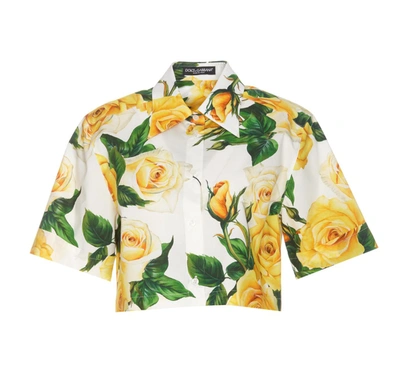 Shop Dolce & Gabbana Shirts In Yellow