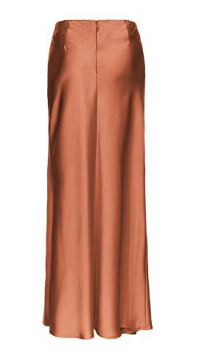 Shop Pinko Skirts In Brown