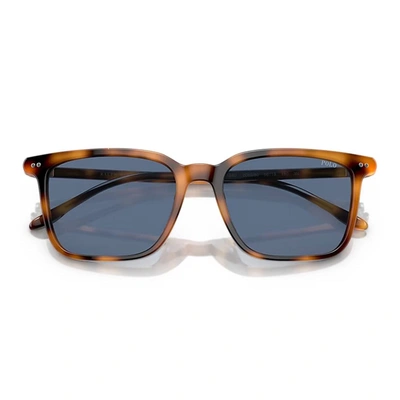 Shop Ralph Lauren Sunglasses In Black