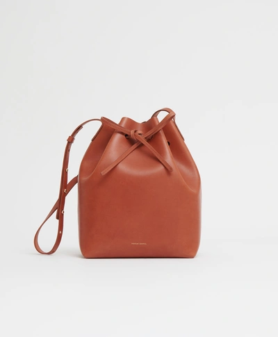 Shop Mansur Gavriel Bucket Bag In Brandy/royal