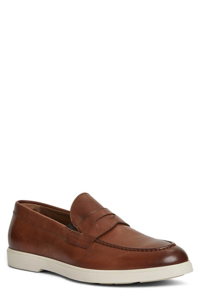 Shop Bruno Magli Ettore Penny Loafer In Cognac