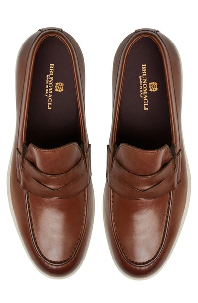 Shop Bruno Magli Ettore Penny Loafer In Cognac