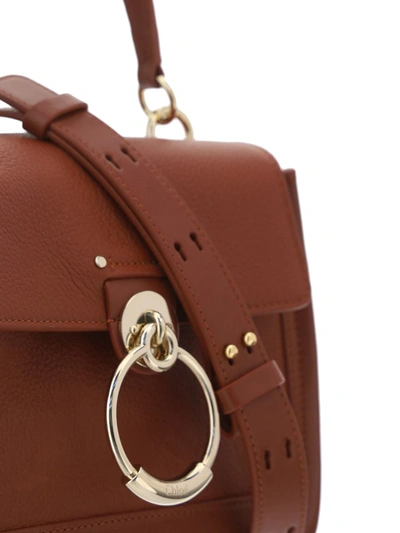 Shop Chloé Handbags In Sepia Brown
