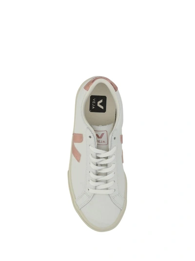Shop Veja Sneakers In Extra-white_nacre