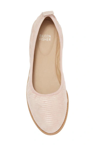 Shop Eileen Fisher Notion Ballet Flat In Goose Bump/ Light Gold