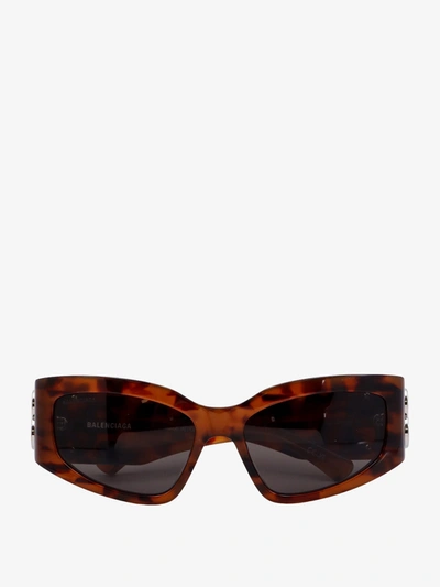 Shop Balenciaga Woman Bossy Cat Woman Brown Sunglasses