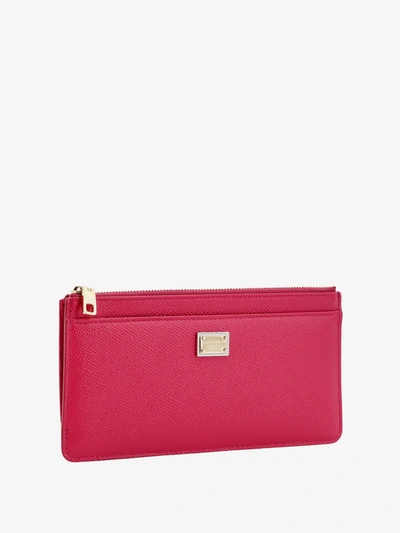 Shop Dolce & Gabbana Woman Card Holder Woman Purple Wallets