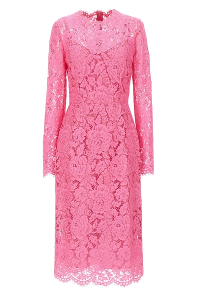 Shop Dolce & Gabbana Women Lace Sheath Dress In Pink