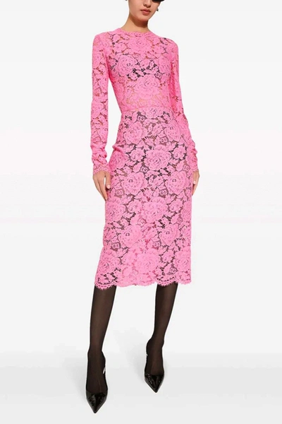 Shop Dolce & Gabbana Women Lace Sheath Dress In Pink