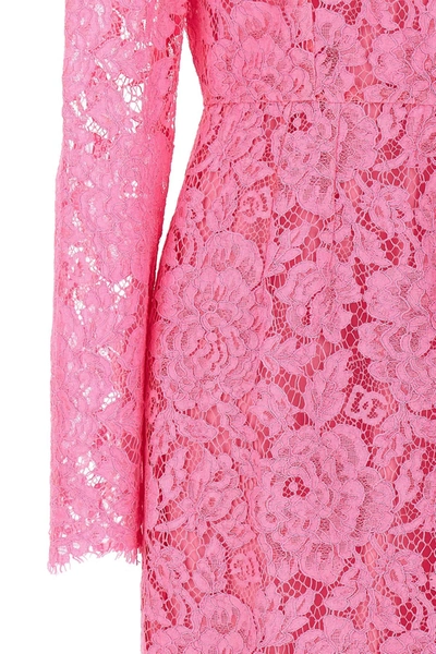 Shop Dolce & Gabbana Women Lace Sheath Dress In Pink