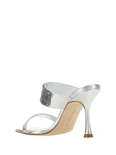 Shop Manolo Blahnik Women Larapa Sandals In Multicolor