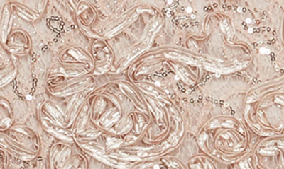 Shop Alex Evenings Soutache Sequin Lace A-line Gown With Wrap In Champagne
