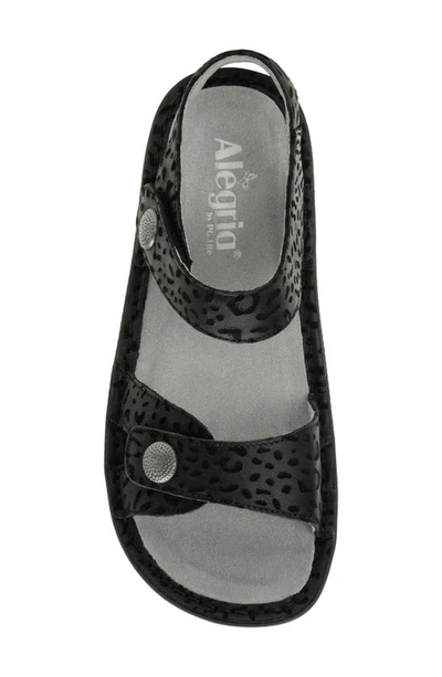 Shop Alegria By Pg Lite Vienna Sandal In Not A Cheetah