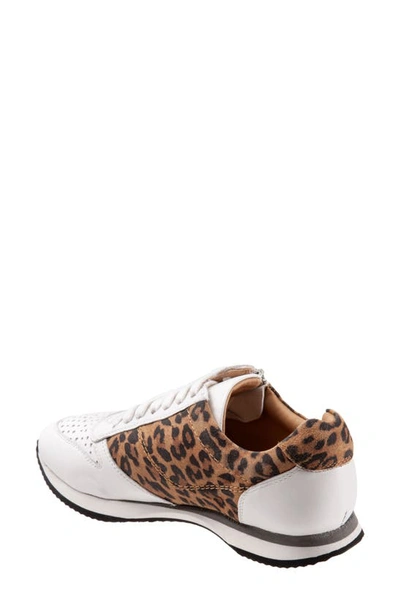 Shop Trotters Infinity Sneaker In White Tan Cheetah