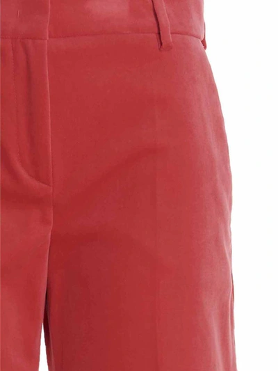 Shop Alberto Biani 'hyppies' Pants In Fuchsia