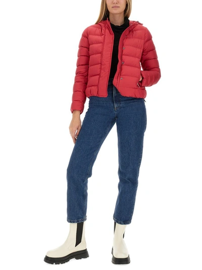 Colmar Regular Fit Jacket With Logo In Fuchsia