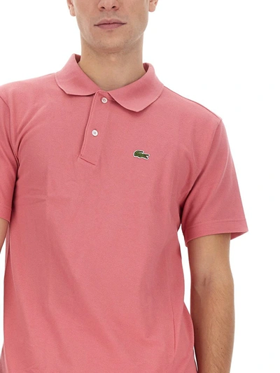 Shop Comme Des Garçons Polo Comme Des Garcons Shirt X Lacoste In Pink