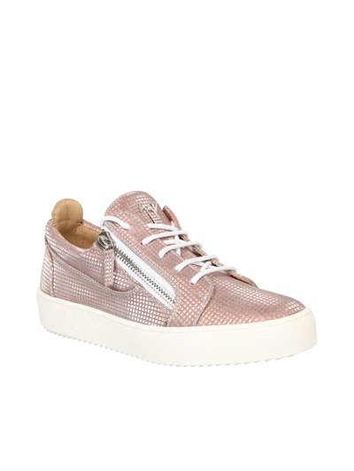 Shop Giuseppe Zanotti Sneakers In Pink