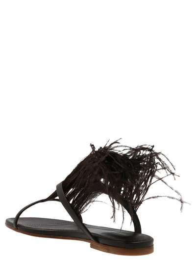 Shop Pucci Feather Sandals In Brown