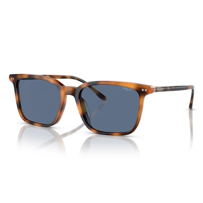 Shop Ralph Lauren Sunglasses In Havana