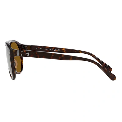 Shop Ralph Lauren Sunglasses In Havana