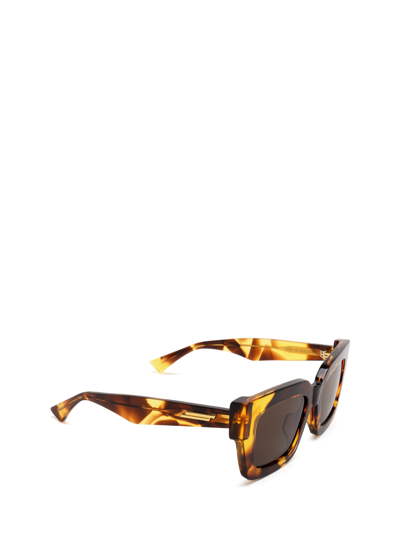 Shop Bottega Veneta Bv1212s Havana Sunglasses