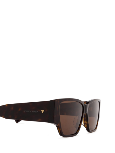 Shop Bottega Veneta Bv1285s Havana Sunglasses