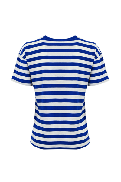Shop Polo Ralph Lauren Striped Cotton T-shirt With Logo In Righe Blue Bianco