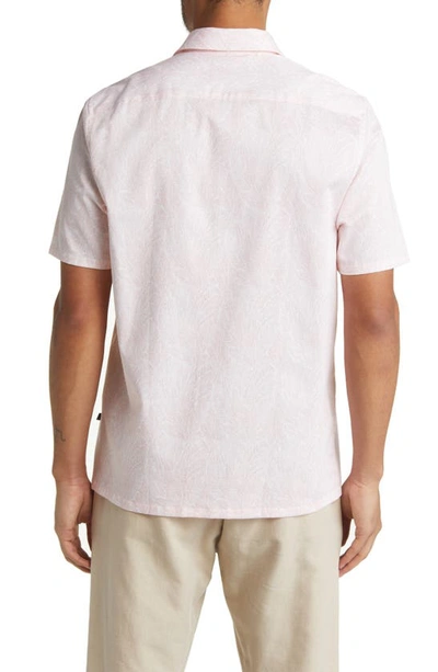 Shop Ted Baker London Apsley Linear Leaf Short Sleeve Button-up Shirt In Peachy
