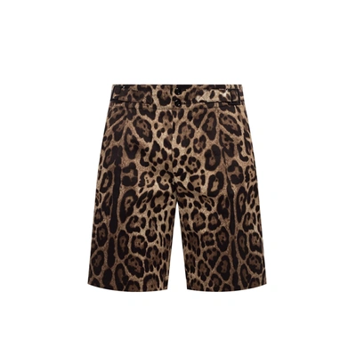 Shop Dolce & Gabbana Bermuda Shorts In Brown