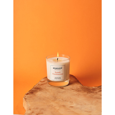 Shop Anatome Candle Somali Scented Wax Candle