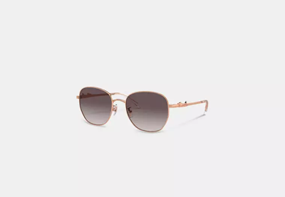 Coach Outlet Script Round Sunglasses In Black
