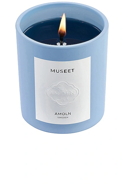 Shop Amoln Museet 270g Candle In N,a