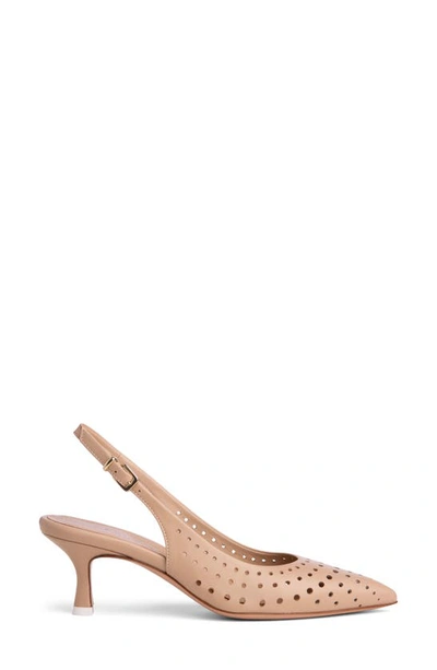 Shop Beautiisoles Flynn Slingback Pointed Toe Pump In Brown