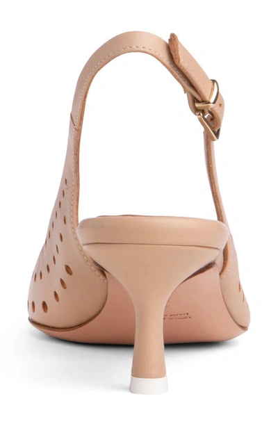 Beautiisoles Flynn Slingback Pointed Toe Pump In Brown