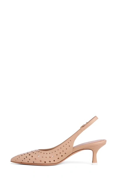 Beautiisoles Flynn Slingback Pointed Toe Pump In Brown