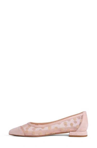 Beautiisoles Blake Pointed Cap Toe Flat In Light Pink