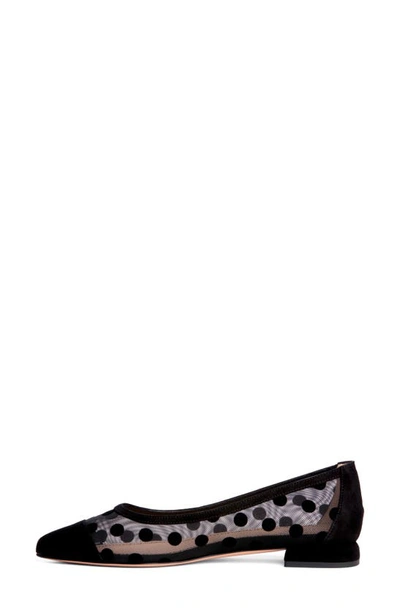 Beautiisoles Blake Pointed Cap Toe Flat In Black